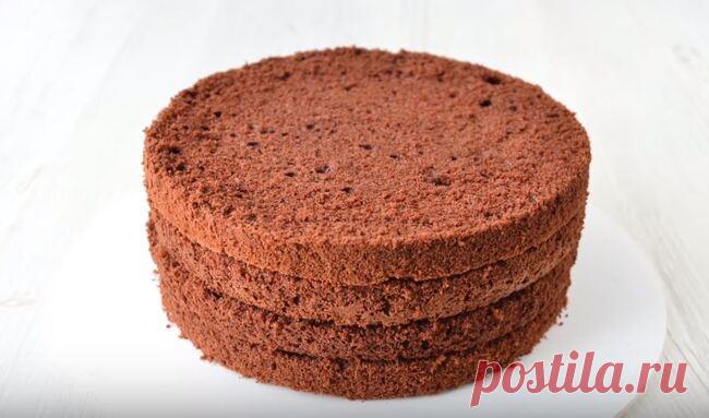 Шоколадный Бисквит на Кипятке в Духовке Очень Просто Шоколадный бисквит на кипятке в духовке - рецепт в домашних условиях. Делается легко, выходит невероятно вкусным и воздушным.