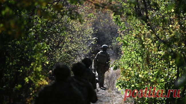 ВСУ за сутки потеряли до 316 боевиков в зоне действий "Востока"