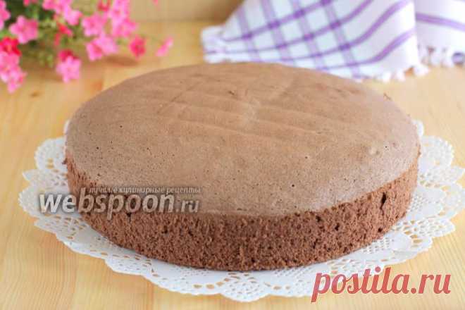 Польский шоколадный бисквит рецепт с фото, как приготовить на Webspoon.ru