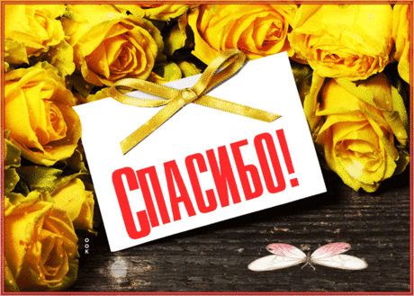 За добро и за заботу
Вам спасибо говорю.
Вашим добрым отношением
Очень в жизни дорожу.