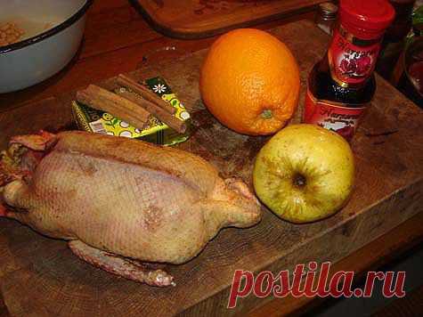 Утка...без утиного вкуса | Охота и рыбалка