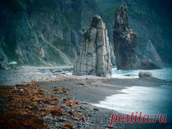 Приморье today