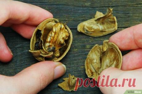 5 способов приготовления эффективного лекарственного чая для нормализации уровня сахара при диабете | Эко-жизнь: экология и ЗОЖ | Яндекс Дзен