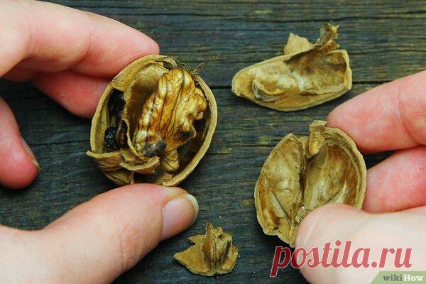 5 способов приготовления эффективного лекарственного чая для нормализации уровня сахара при диабете | Эко-жизнь: экология и ЗОЖ | Яндекс Дзен