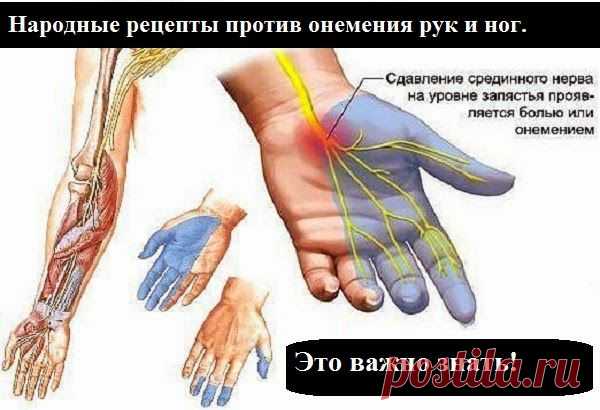 Ваш личный врач.: Народные рецепты против онемения рук и ног. Это важно знать!