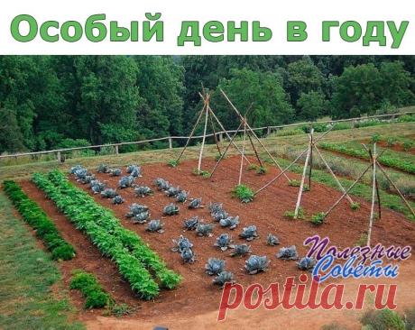 Особый день в году