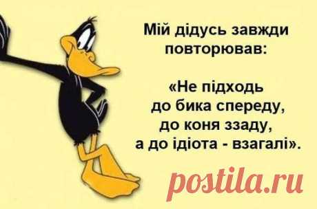 Однокласники