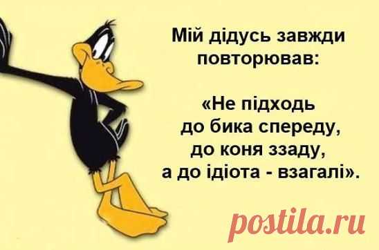 Однокласники