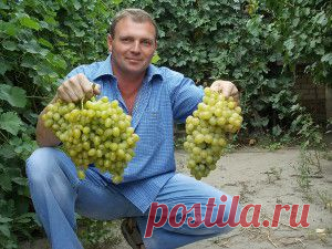 Лечение народными средствами. Восстановление здоровья своими силами.