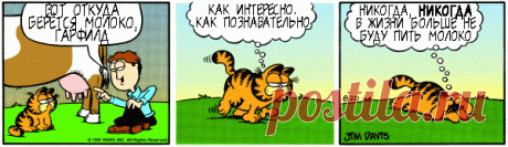1980-08-20