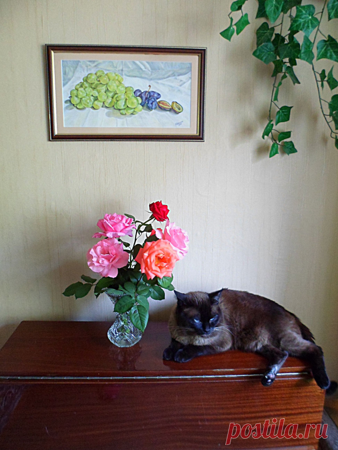 Ирбис  и розы