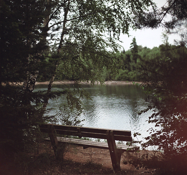 ОТКРЫТКИ С ПЕЙЗАЖАМИ И ПРИРОДОЙ, ЖИВОПИСЬ - АНИМАЦИОННЫЕ - КРАСИВЫЕ КАРТИНКИ. ВИДЕО. МИР, В КОТОРОМ МЫ ЖИВЕМ! - Группы Мой Мир