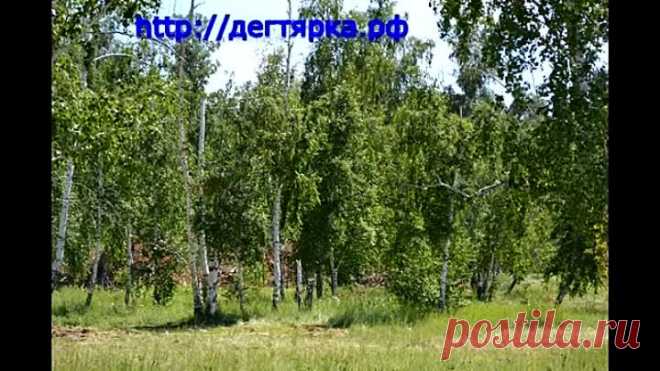 ДЕГОТЬ
