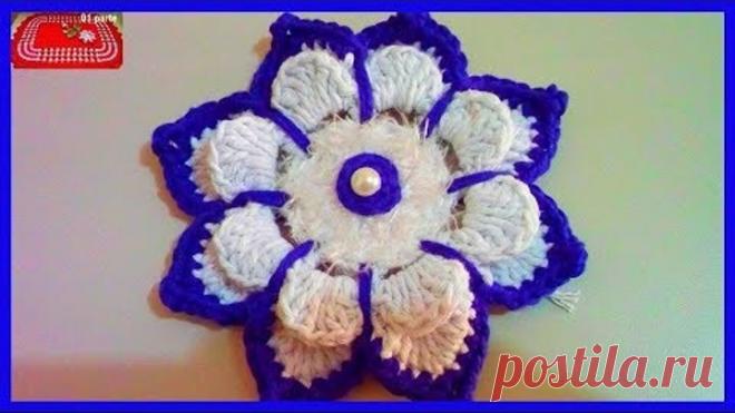 Видео flor. Видео flor. Видео flor. Камелия канзаши. Видео flor.