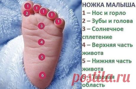Ножка малыша
Мягко массируя определенную зону на детской стопе,
Вы успокоите своего малыша, если у него что-то болит:
1 – Нос и горло
2 – Зубы и голова
3 – Солнечное сплетение
4 – Верхняя часть живота
5 – Нижняя часть живота
6 – Тазовая область
#мамочкам
