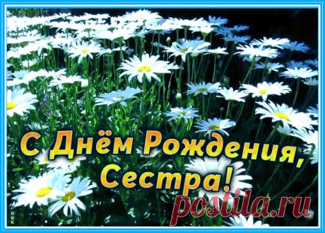 Открытка с днем рождения сестре с ромашками - прикольное поздравления для лучшей сестрички. Каталог красивых анимационных открыток с днем рождения сестре, отправляйте в социальных сетях бесплатно.