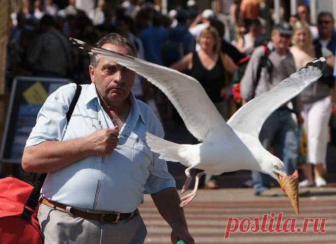 Галерея: 40 самых удачных фотомоментов года