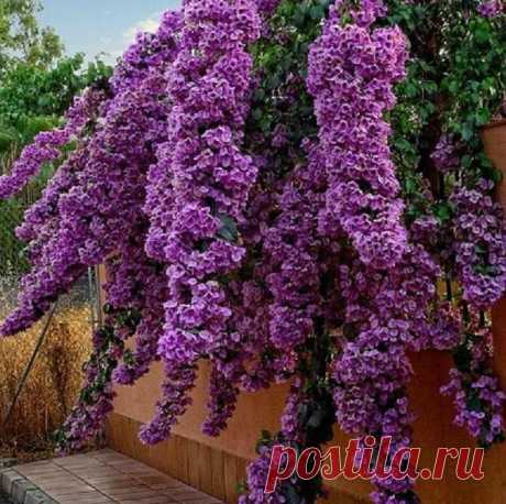 Мой Мир@Mail.Ru