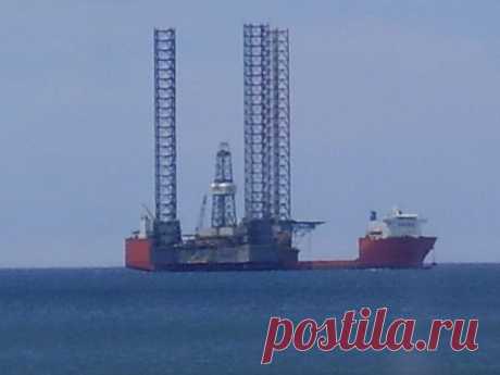 Фотографии Наталья Ляхова | 1303 фото