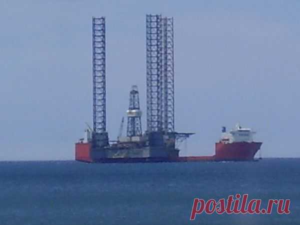 Фотографии Наталья Ляхова | 1303 фото