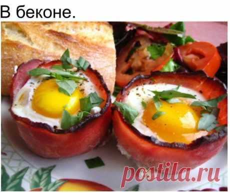 Такая разная яичница // ОПТИМИСТ