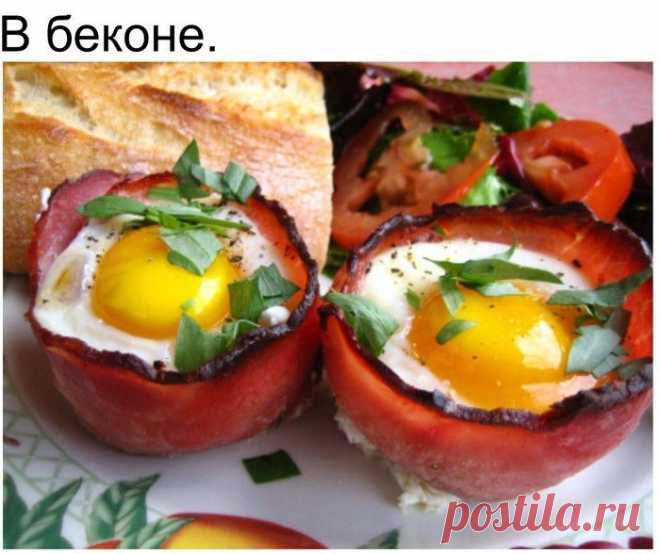 Такая разная яичница // ОПТИМИСТ