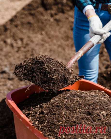 КАК СДЕЛАТЬ ЗЕМЛЮ ПЛОДОРОДНОЙ НА ОГОРОДЕ?