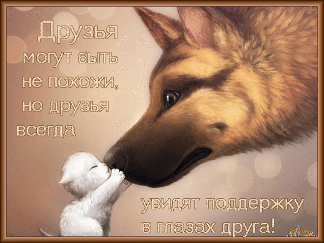 9-2.gif (1024×768)