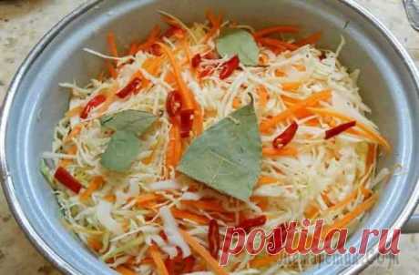Домашний рецепт очень вкусной хрустящей маринованной капусты на зиму