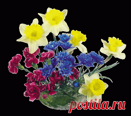 Картинки цветы PNG