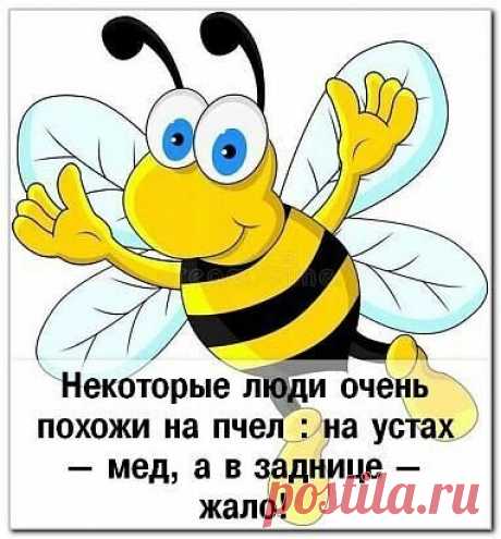 i (382×411)