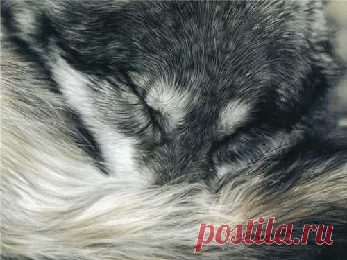 Картины Лесли Харрисон (31 работ) » Картины, художники, фотографы на Nevsepic