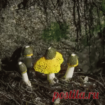 Прям как Советская авоська.