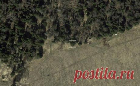 В России выбрали главную новогоднюю 25-метровую елку. «Рослесинфорг» опубликовал спутниковый снимок 25-метровой ели из подмосковного Фряново, которая украсит Красную площадь в статусе главной новогодней елки 2023 года.