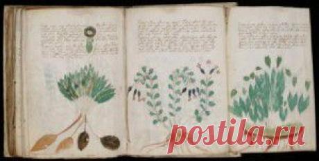 10 странных археологических находок, которым нет объяснения