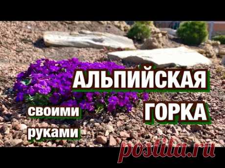 Альпийская горка. Ландшафтный дизайн участка.