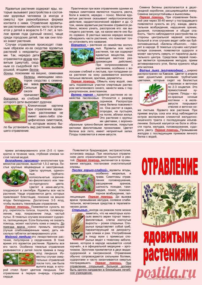 Отравление ядовитыми растениями