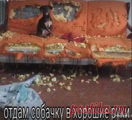 ღОльгаღ . - Алма-Ата, Казахстан на Мой Мир@Mail.ru