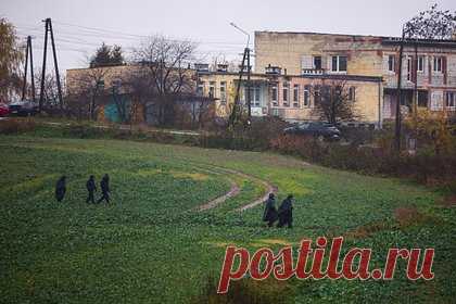 Полковник объяснил решение Запада встать на сторону России в инциденте в Польше. В инциденте с падением ракет в Польше Запад решил встать на сторону России, так как не хочет втягивать НАТО в конфликт, считает полковник запаса Александр Жилин. По его словам, США и европейских лидеров «полностью устраивает» противостояние Москвы и Киева, и им не нужно «расползание» конфронтации.