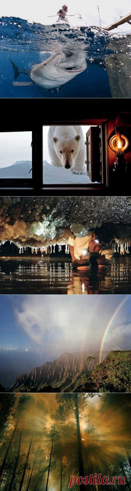 Лучшие фото National Geographic последних лет — Наука и жизнь