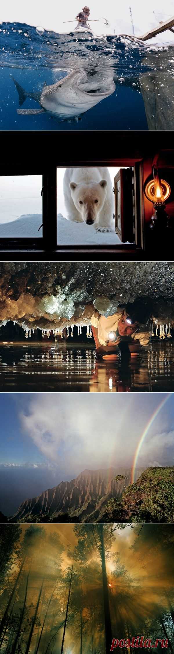 Лучшие фото National Geographic последних лет — Наука и жизнь