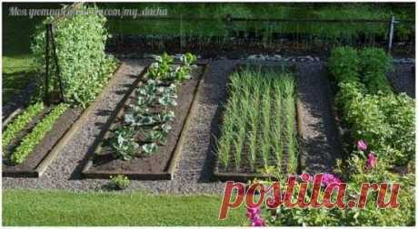 36 И 1 ХИТРЫЙ СОВЕТ ДЛЯ САДОВОДОВ И ОГОРОДНИКОВ - Садоводка