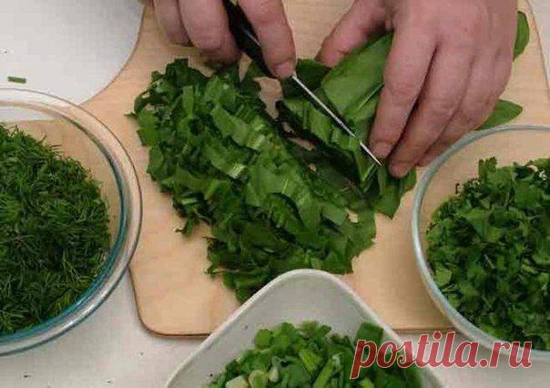 Заготовка для зеленого борща