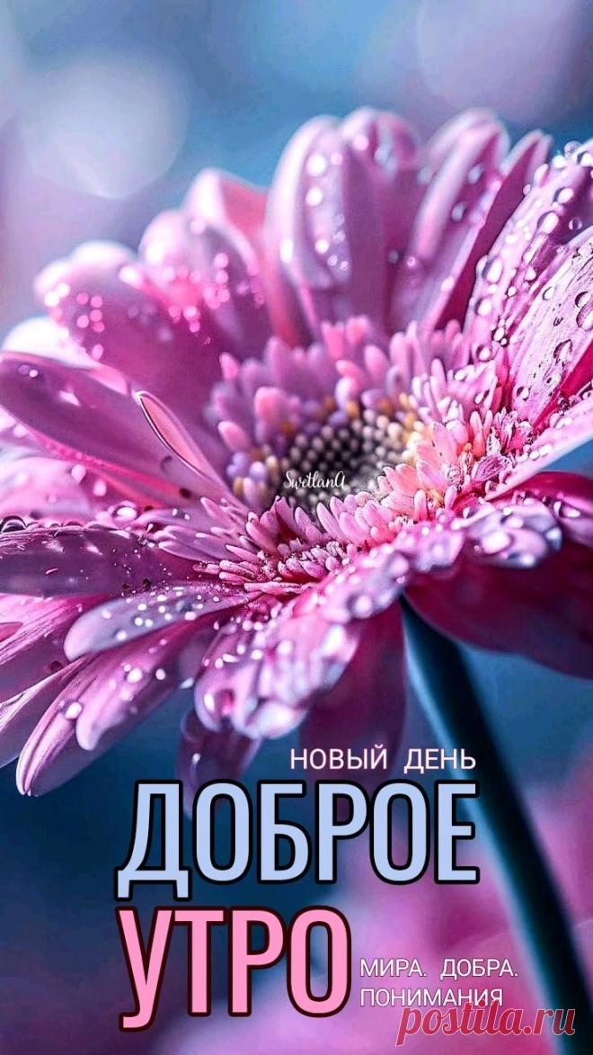 Доброе утро