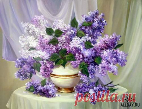 Фотографии на стене сообщества | 32 889 фотографий