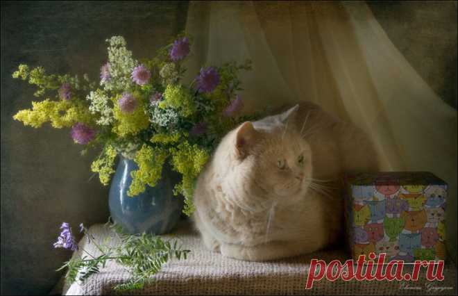 35PHOTO - Eleonora Grigorjeva - Летние НатюрКотики
