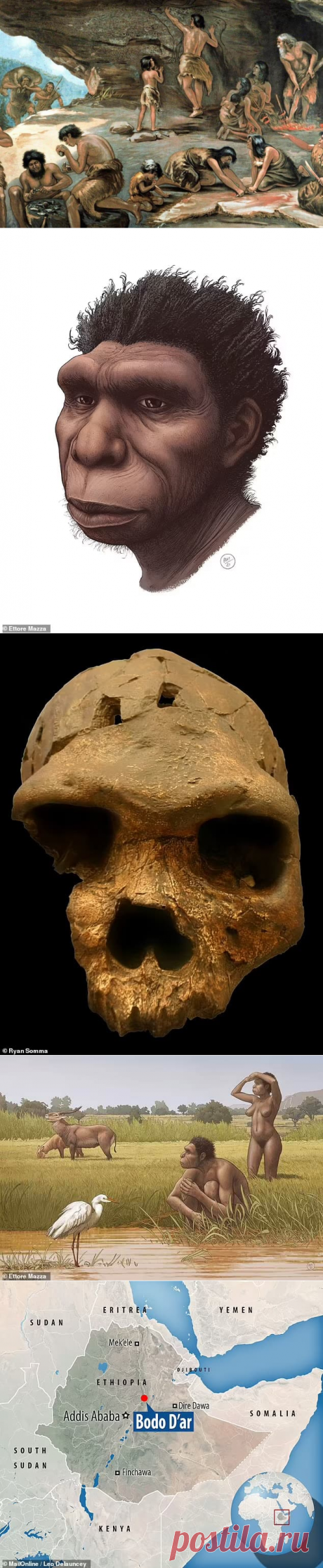 Homo bodoensis: недавно обнаруженный древний вид человека &amp;#8212; Технологии и Наука