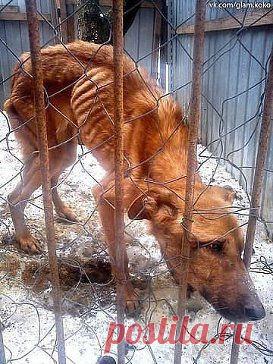 не поставишь лайк у тебя нет сердца((
【ツ】Стефын Сольватор【ツ】
не поставишь лайк у тебя нет сердца((