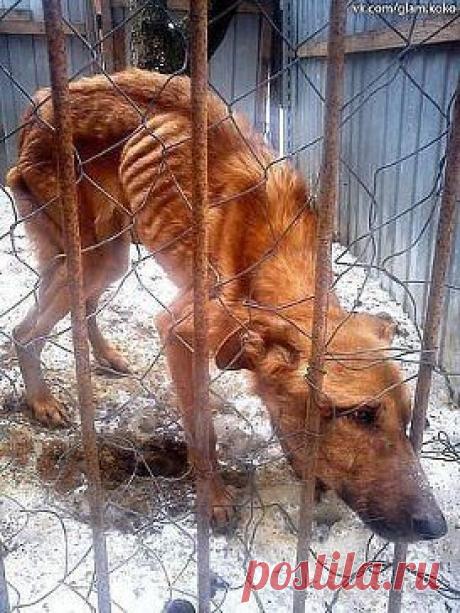 не поставишь лайк у тебя нет сердца((
【ツ】Стефын Сольватор【ツ】
не поставишь лайк у тебя нет сердца((