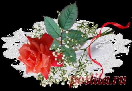 Плейкаст «@@@ КОРОЛЕВА @@@»
